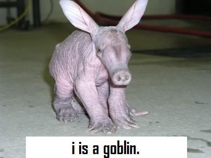 i is a goblin