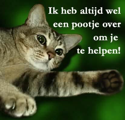 poesje205.jpg helpen picture by romantica1960