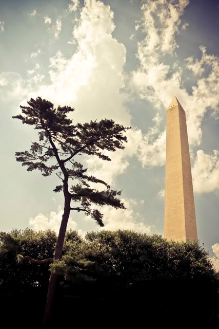 IMAGE: http://i273.photobucket.com/albums/jj204/Pleasetakeitkindly/IMG_0719.jpg