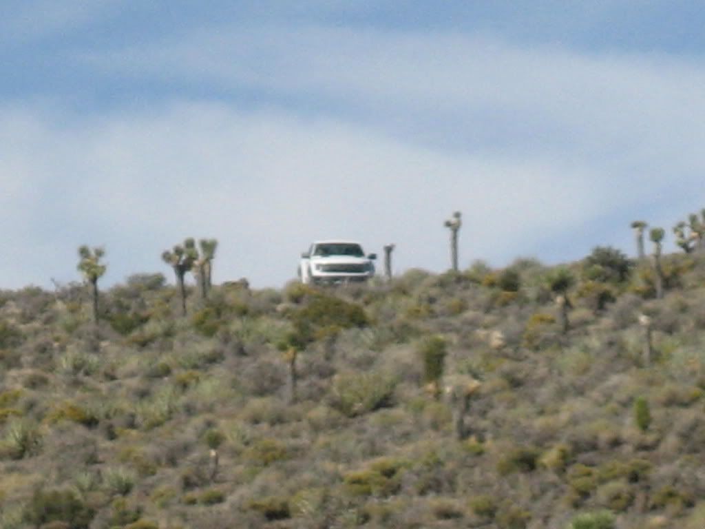 Nevada010.jpg