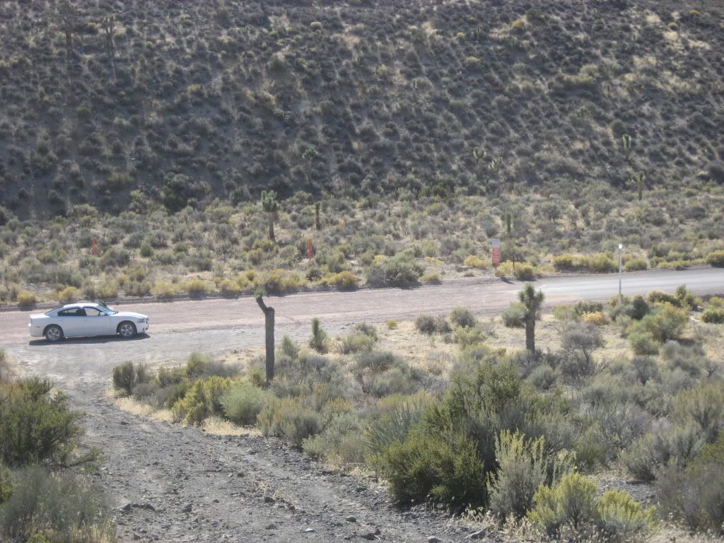 Nevada016.jpg