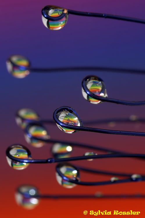 rainbow droplets