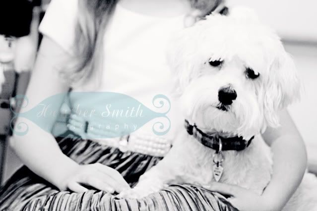 Heather Smith Photography