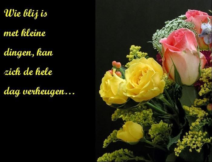 Wieblijismetkleinedingenkanzichdehe.jpg blij image by laran_bucket