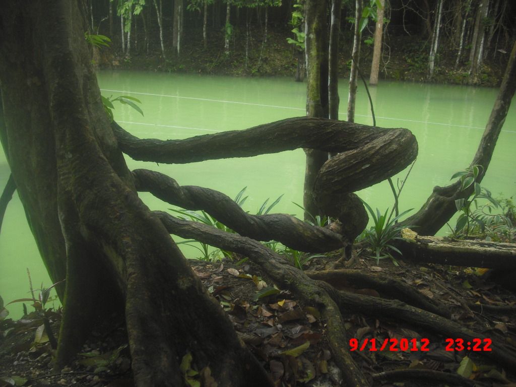 photo CIMG3132.jpg