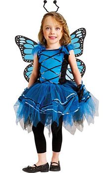 Butterlfy Ballerina costume
