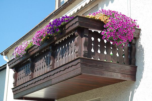 How to Maintain a Small Garden on Your Apartment- Terrace