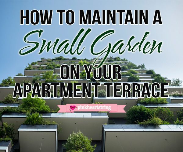 Small Garden apartment terrace