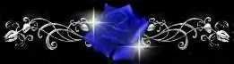 photo ROSE-3.jpg