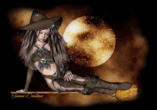Witch And Her Broom (SC) photo 1152191557lkk9.gif
