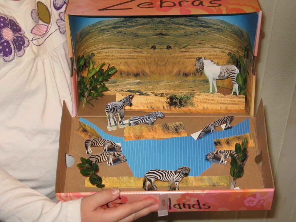 Zebra Diorama Photo by 4famone | Photobucket