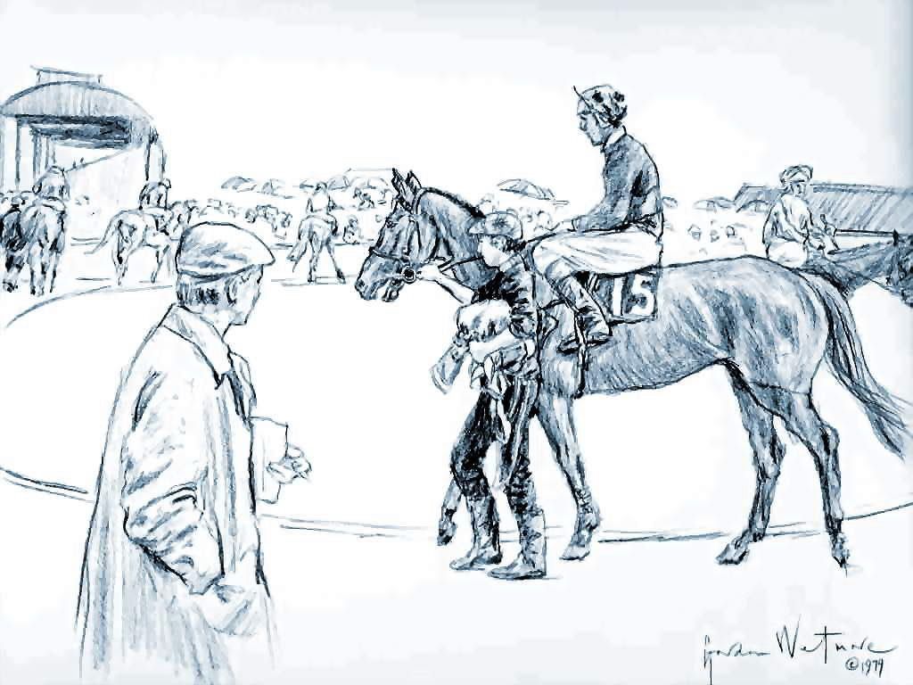ireland_csg064_horse_races-thurles.jpg
