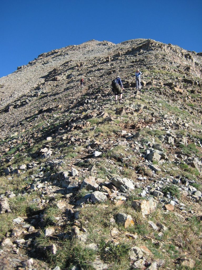 IMG_0263.jpg