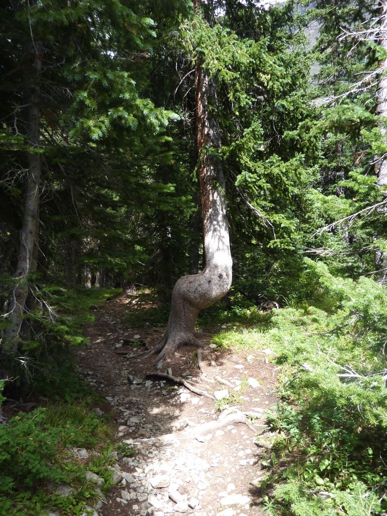 P1060164.jpg