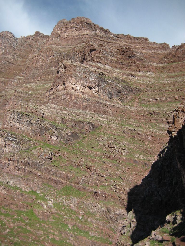 IMG_0388.jpg