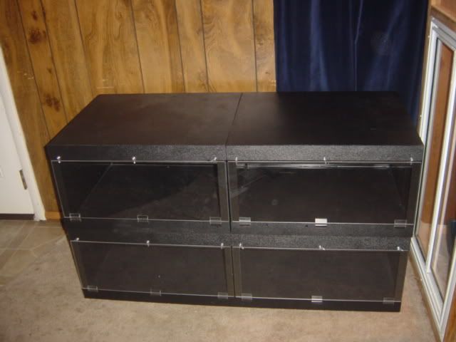 DSC01064.jpg