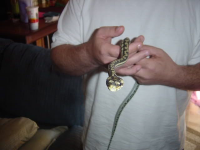 DSC01090.jpg