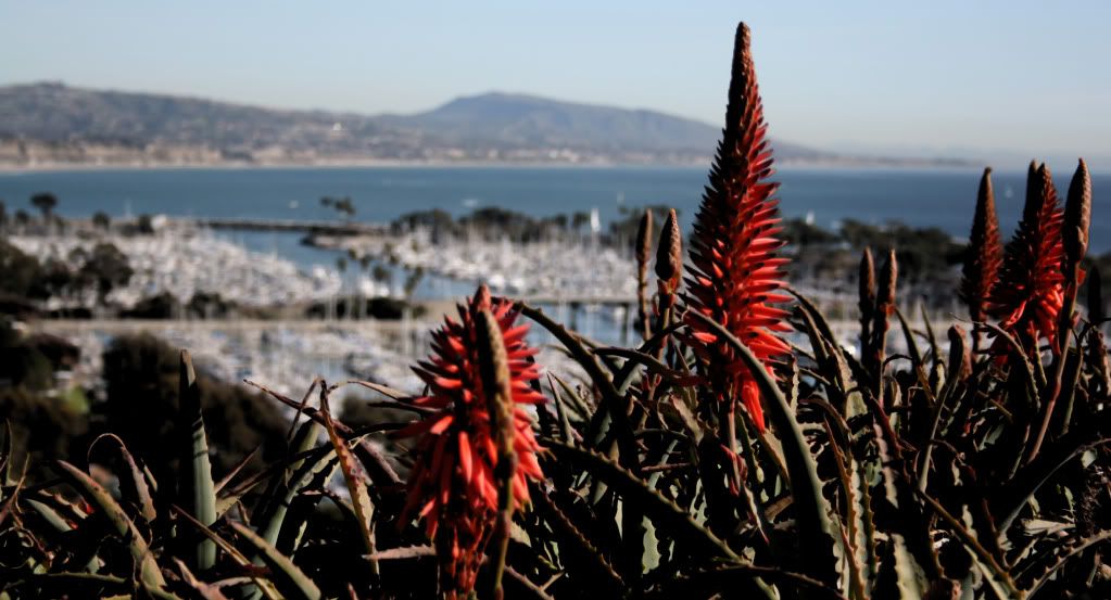 IMAGE: http://i273.photobucket.com/albums/jj219/BryanBorenstein/harbor0771.jpg