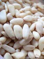 pine nuts Pictures, Images and Photos