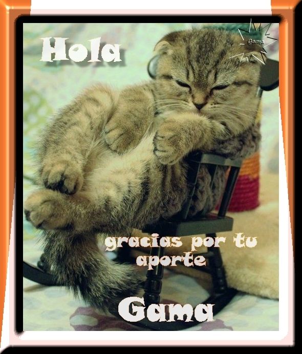  photo Imagen14gama.jpg