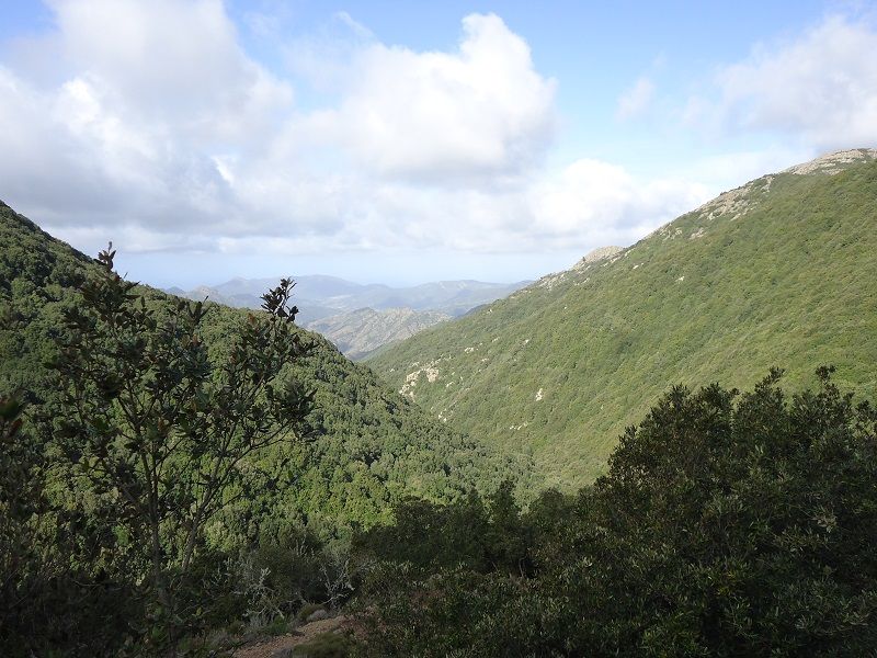 DSC01879_zpsad3b32bd.jpg