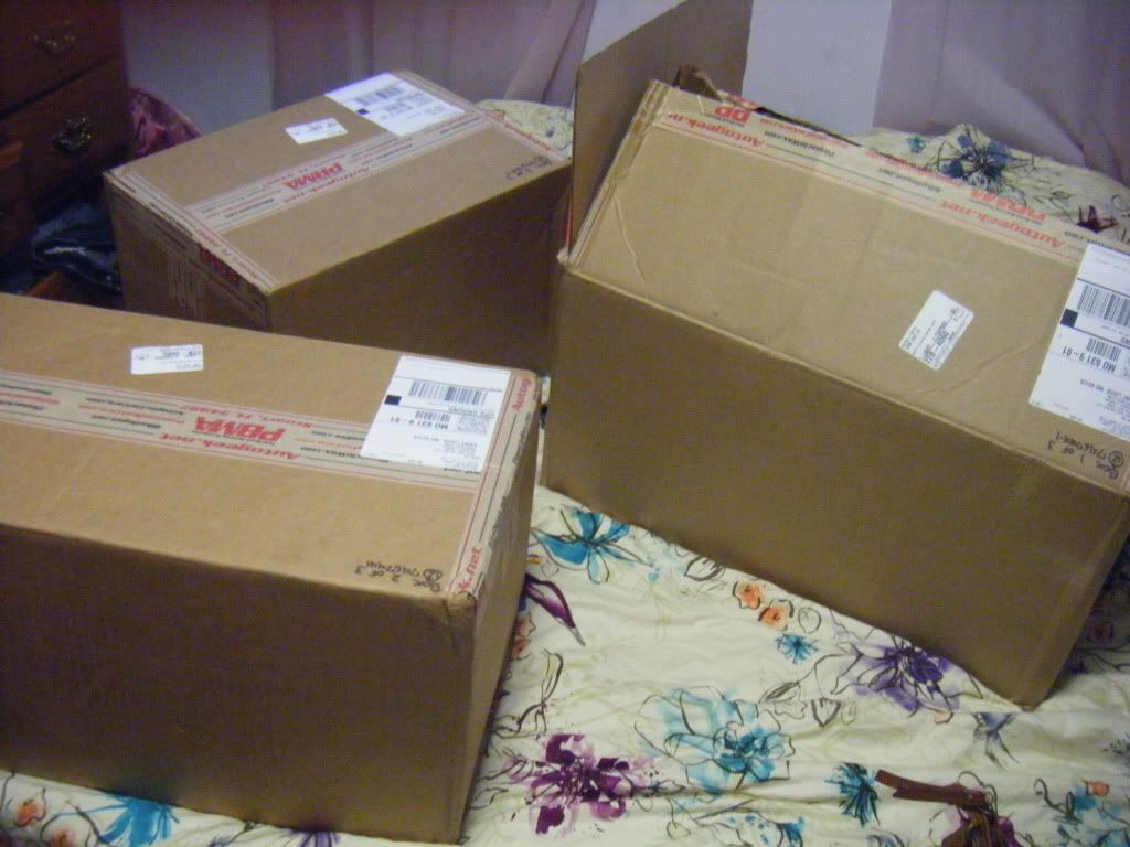 DSCF4305.jpg