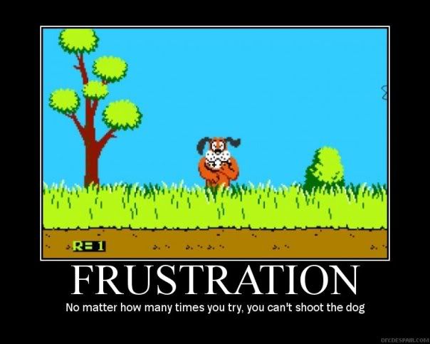 Duck hunt Pictures, Images and Photos