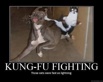 kung fu photo: Kung Fu Kung-fu.jpg