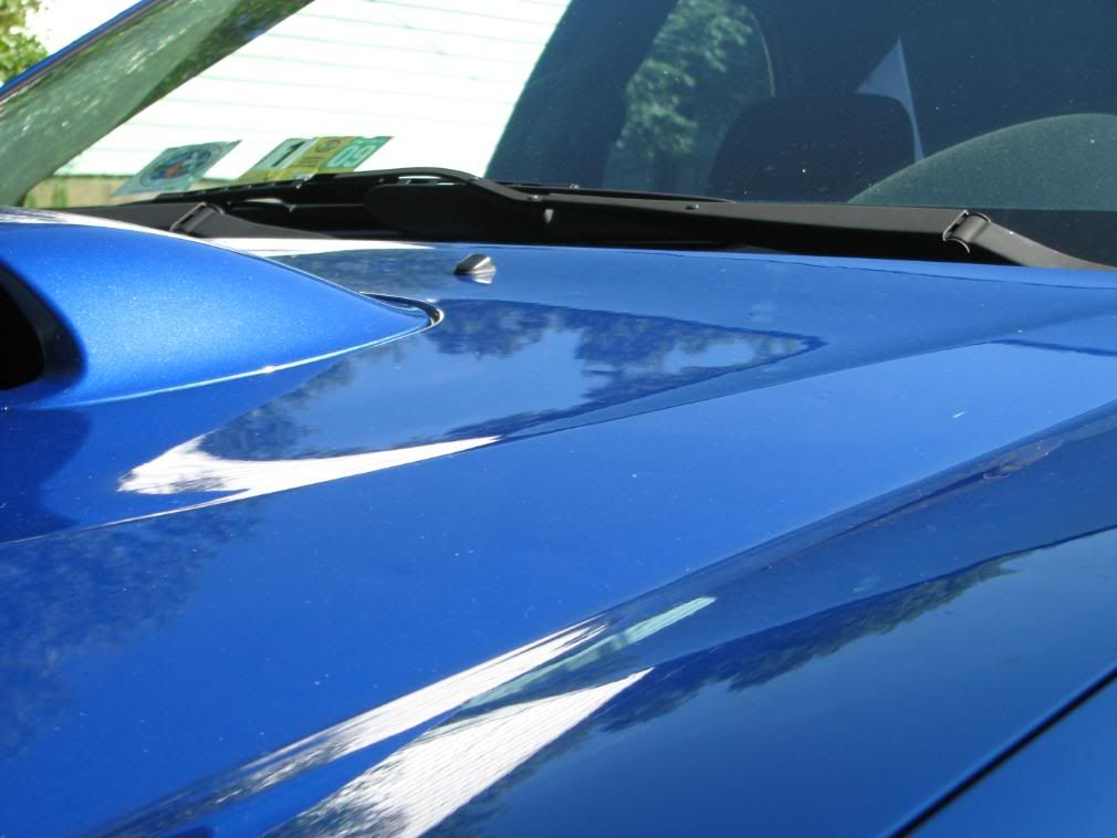 [Image: IMG_0977.jpg]