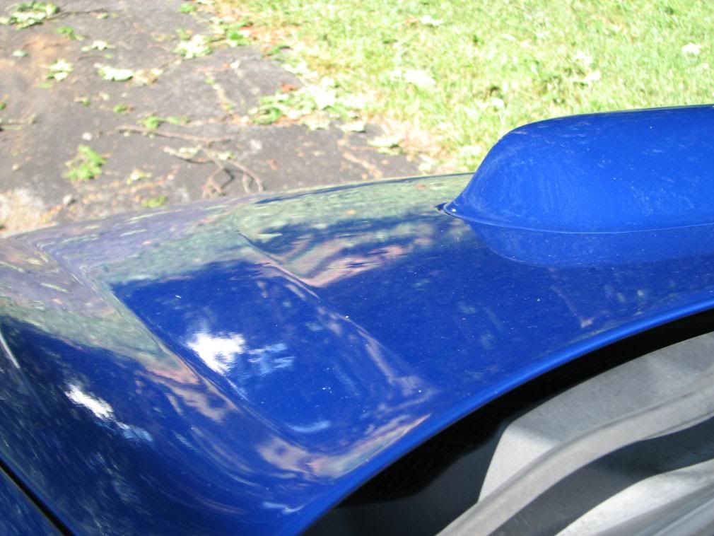 [Image: IMG_0978-1.jpg]