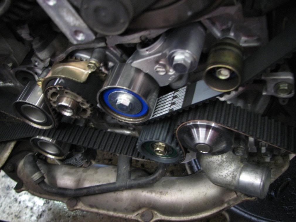 [Image: IMG_1076.jpg]