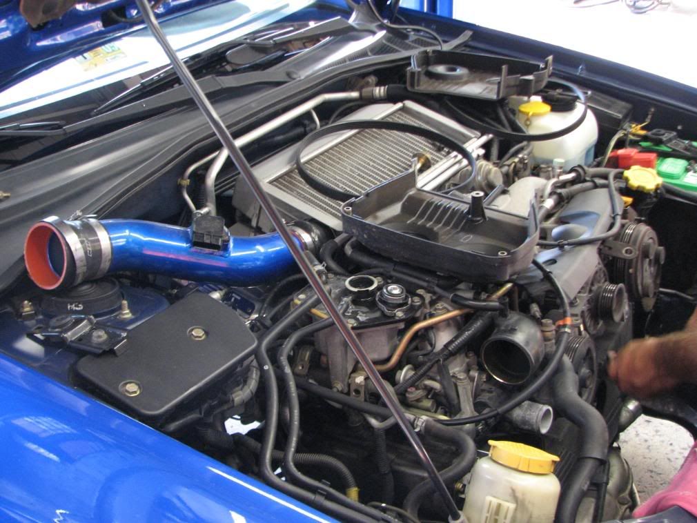 [Image: IMG_1082.jpg]