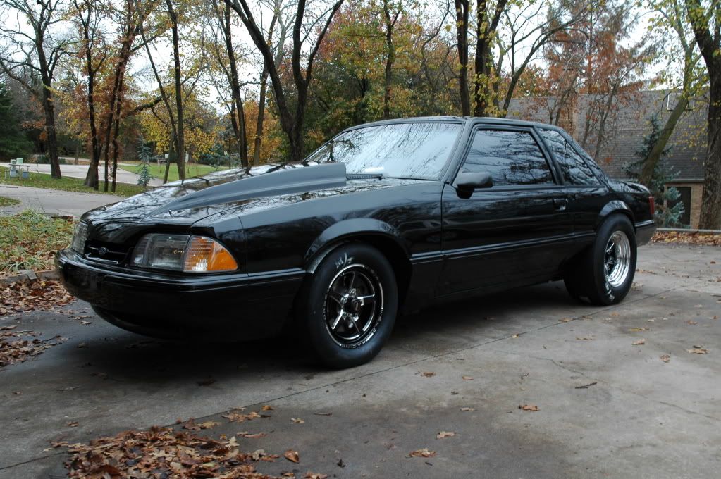 [Image: DSC_0482-1.jpg]