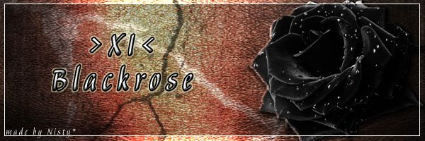 XI%20Blackrose_zpsbqerbwmk.jpg