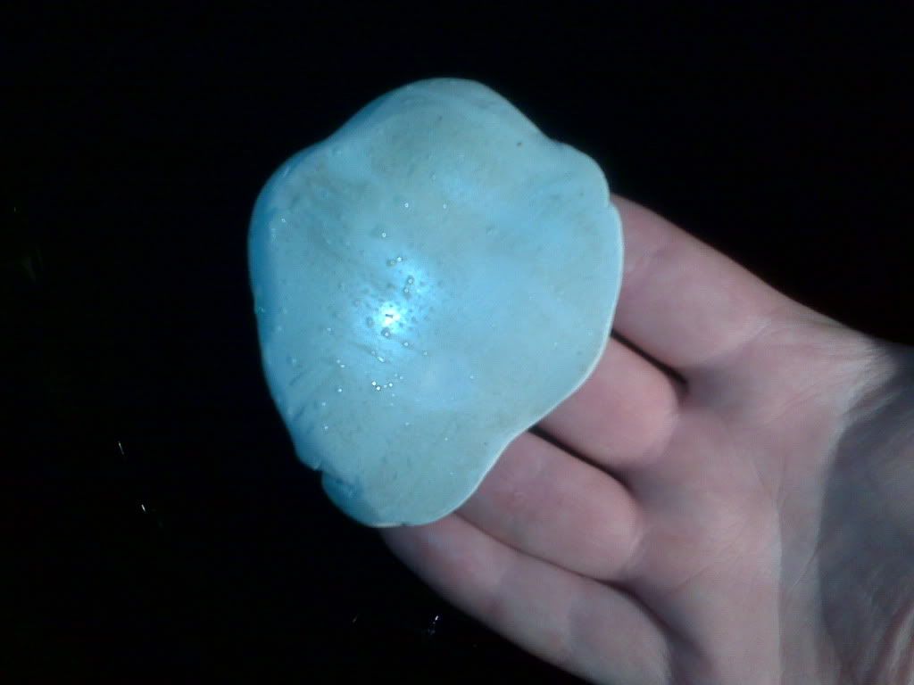 IMG00071.jpg
