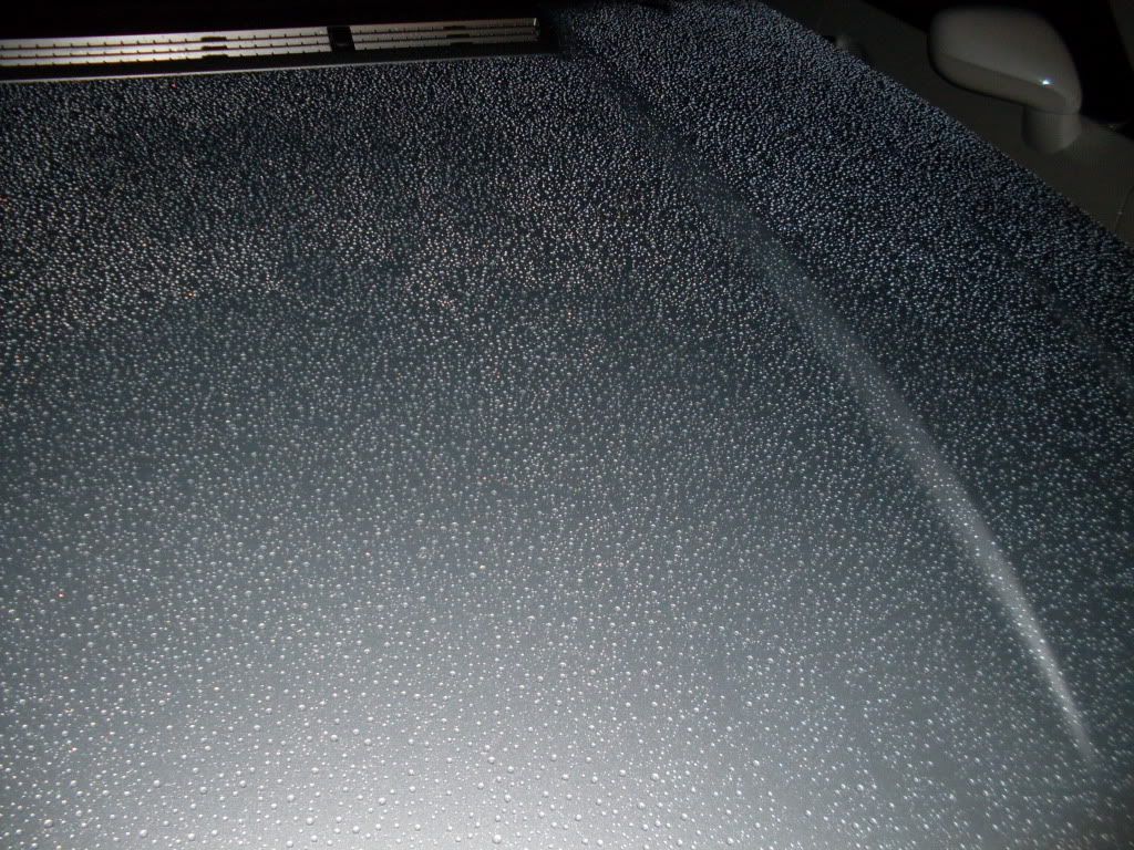 SDC10118.jpg