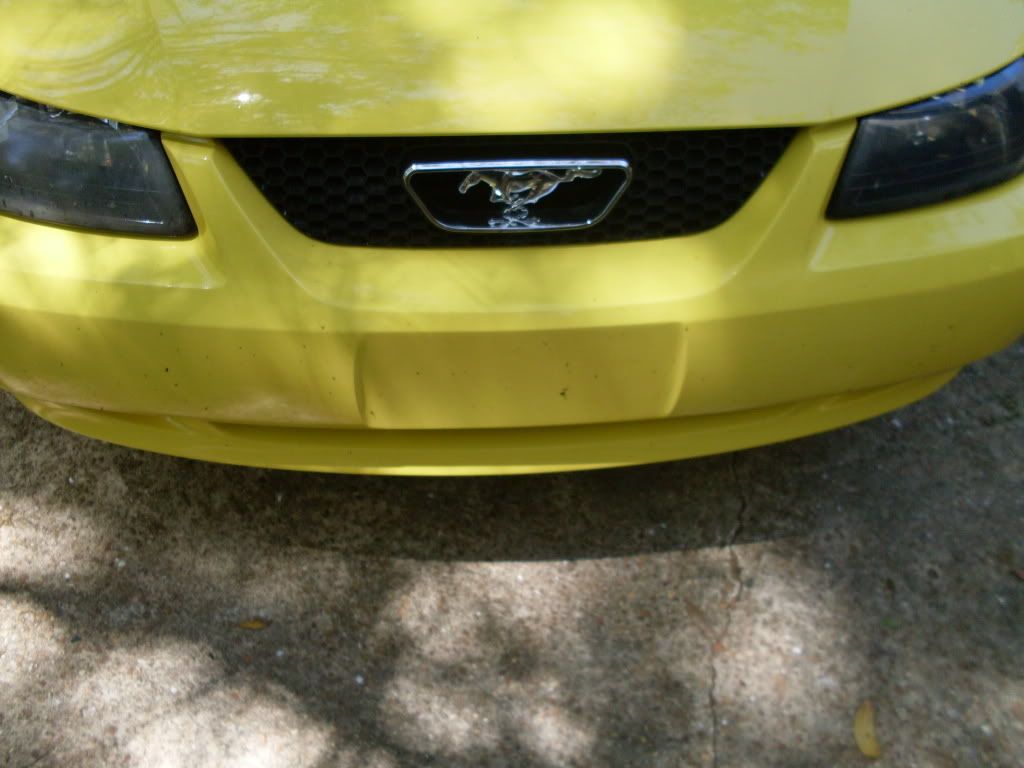 SDC10737.jpg
