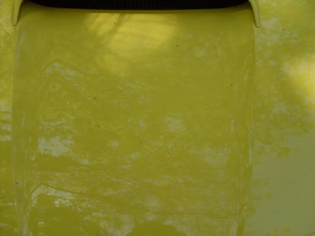 SDC10738.jpg