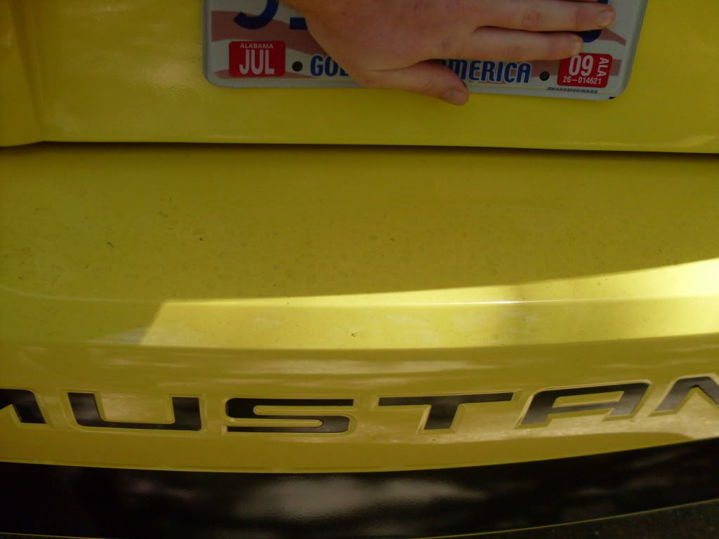 SDC10740.jpg