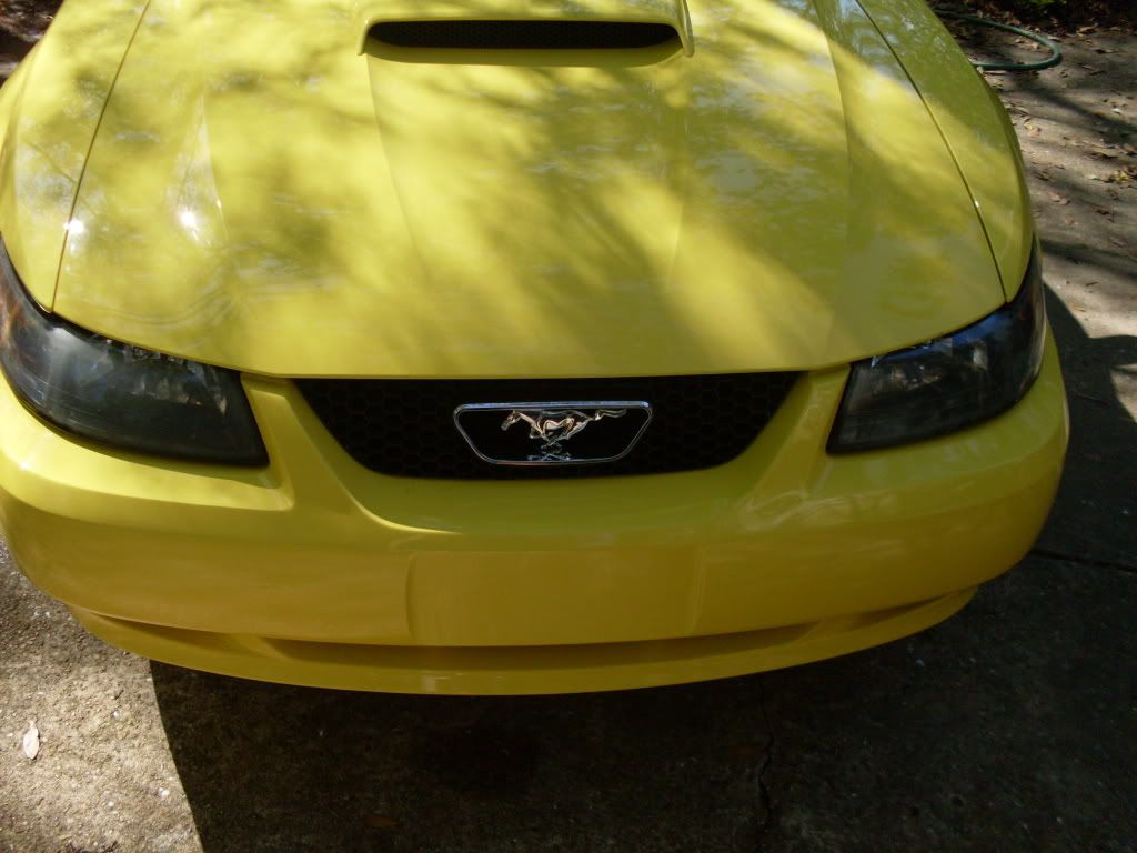 SDC10743.jpg