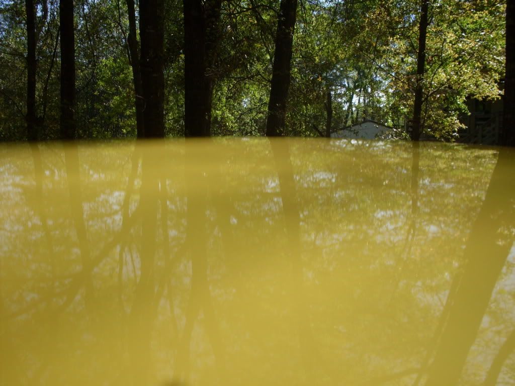 SDC10745.jpg