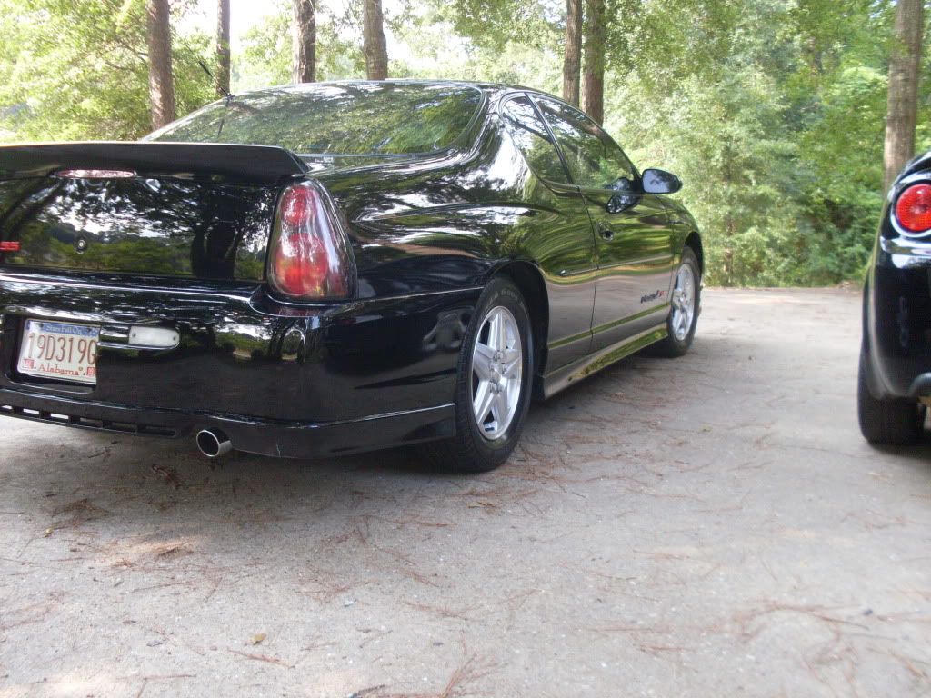 SDC10889.jpg