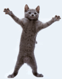 dancing cat Pictures, Images and Photos