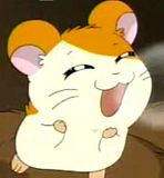 Hamtaro Picture eBaum39;s World