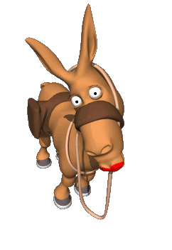 Donkey Pictures, Images and Photos