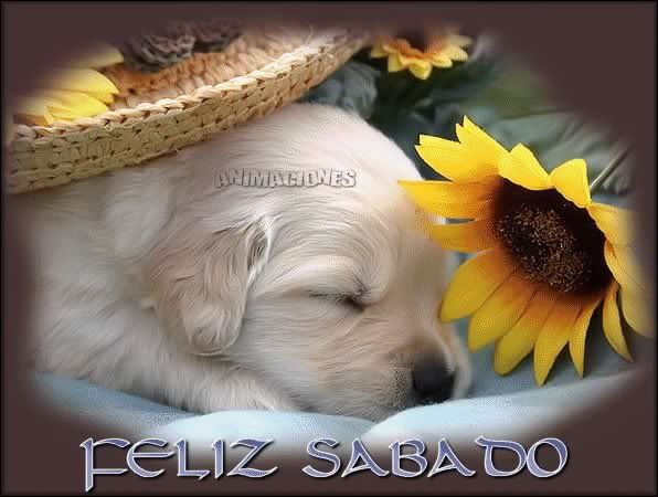 sabado13.jpg