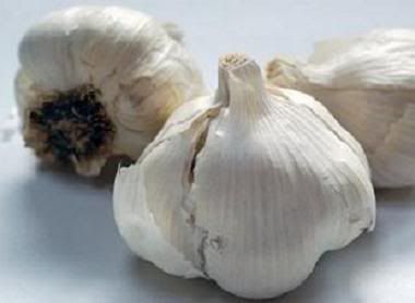 Garlic Pictures, Images and Photos