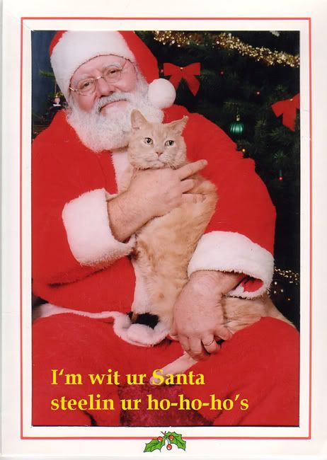 Cat and Santa