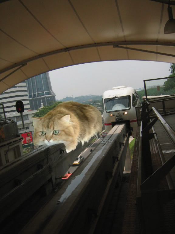 monorail cat gif. Cat Monorail terminal