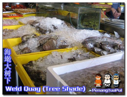 Penang Food, Weld Quay, Seafood